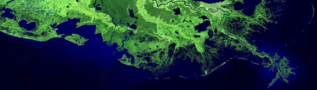 A satellite image shows the Mississippi River Delta coastal region