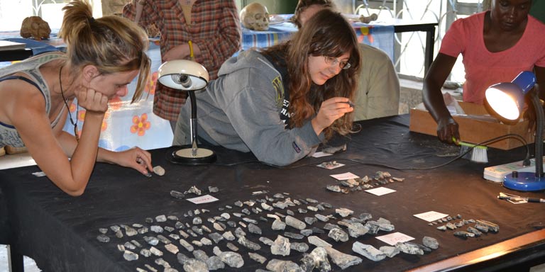 Students analyzing a collection of rocks and fossils